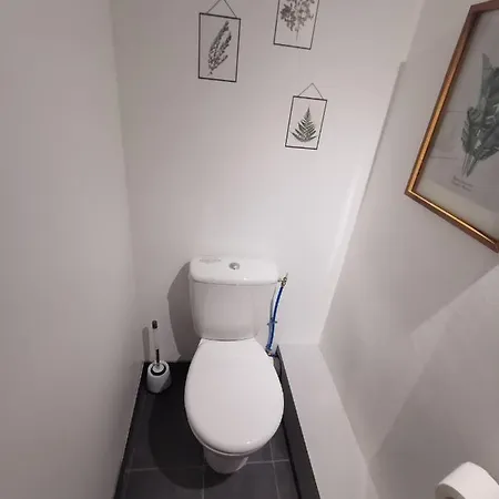 5004 Neptuna 66c * 아그